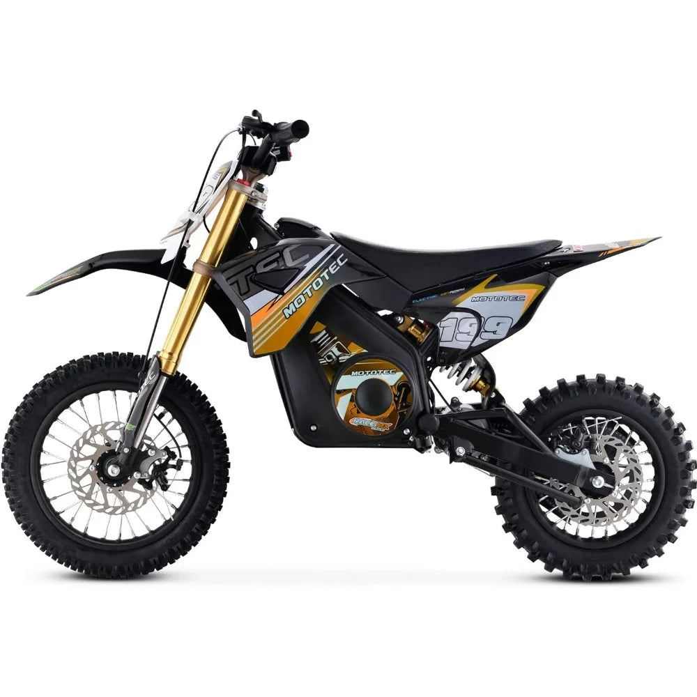 36v Pro Electric Dirt Bike 1000w