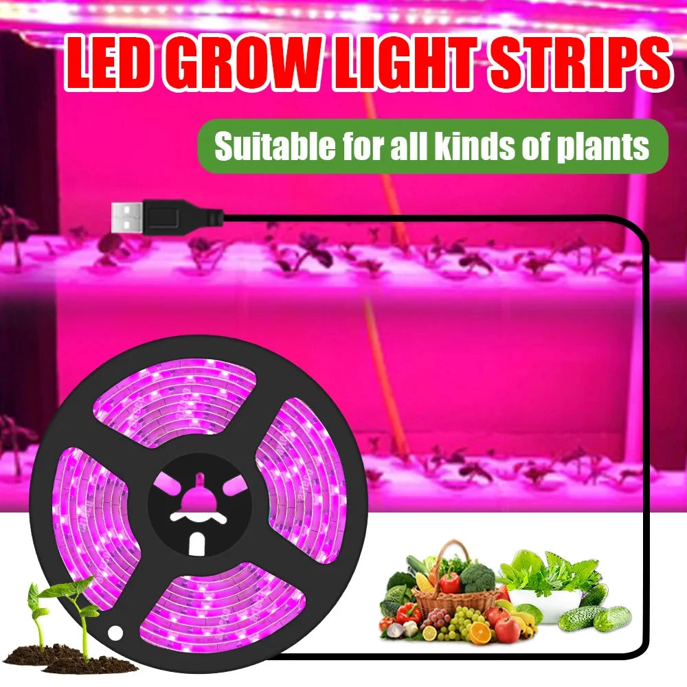 5V USB Led Plant Growing Light 1M 2M 3M 5M 10M Full Spectrum Hydroponic Grow Lamps Indoor Plants Greenhouse Flowers Seeds Phyto