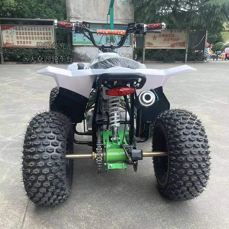 ATV Children 125cc Rental Park Electric 48V Little Falcon off-Road Four-Wheel Motorcycle ATV