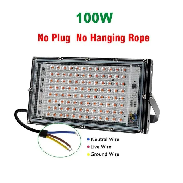 Full Spectrum LED Grow Light Phyto Lamp AC 220V 50W 100W 200W 300W With EU Plug For Greenhouse Hydroponic Plant Growth Lighting