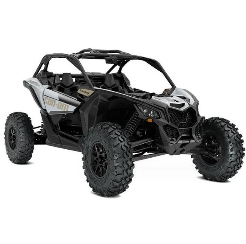 High Power Electric Go Kart Can Am All-terrain Vehicle for Adult 2000cc